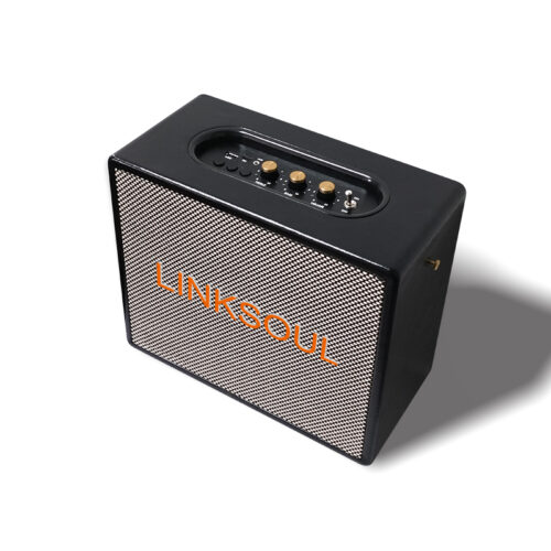 HT91 Potente altavoz Bluetooth de karaoke de madera